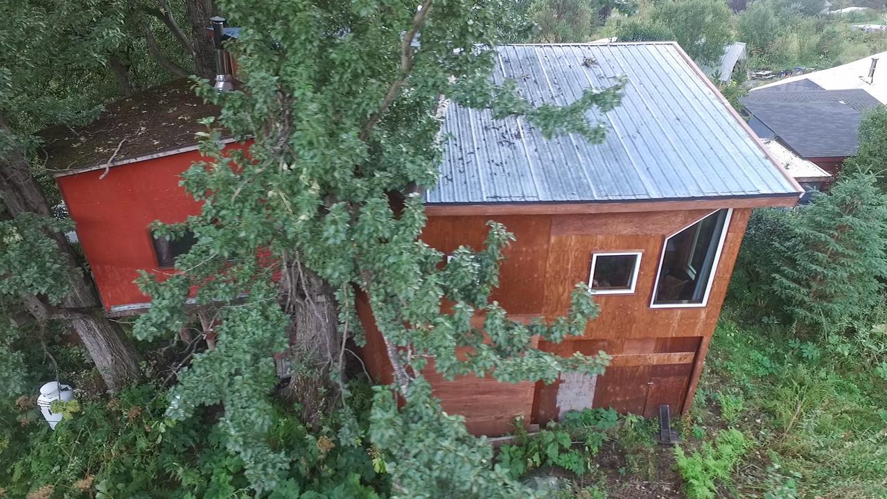 Cottonwood Cabins Vila Fritz Creek Exterior foto