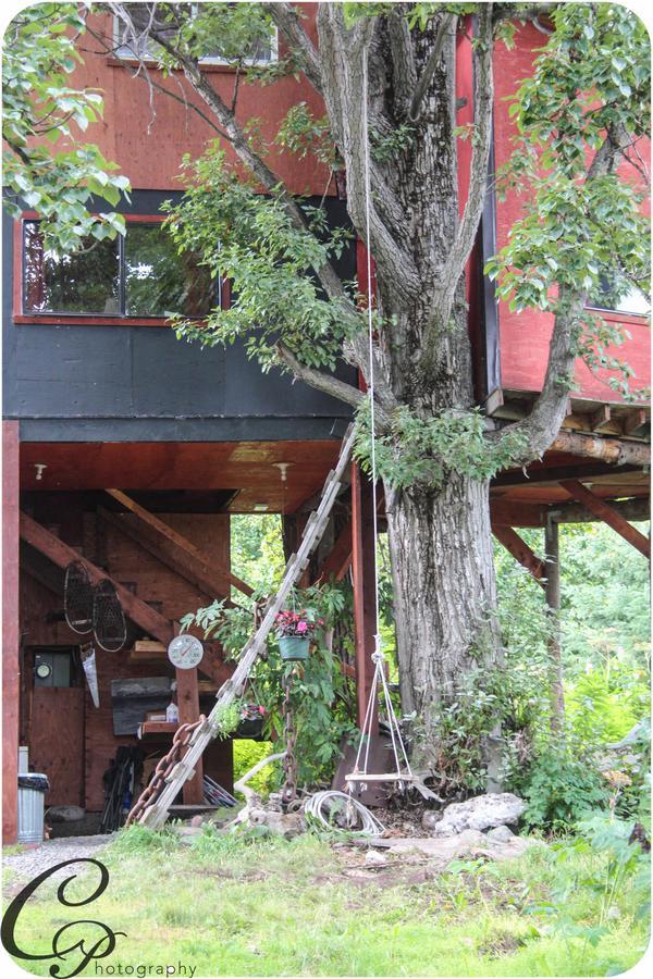 Cottonwood Cabins Vila Fritz Creek Exterior foto