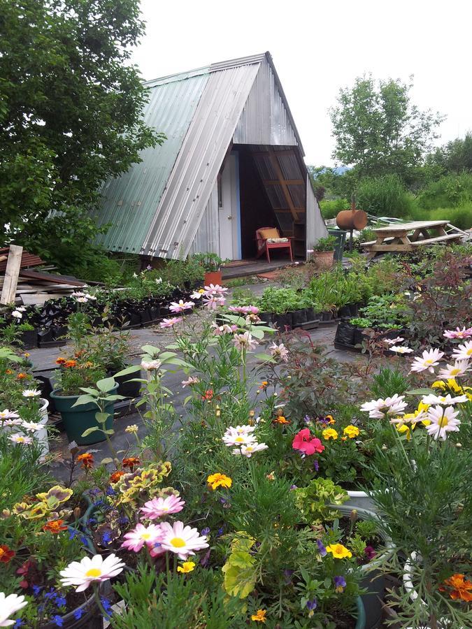 Cottonwood Cabins Vila Fritz Creek Exterior foto